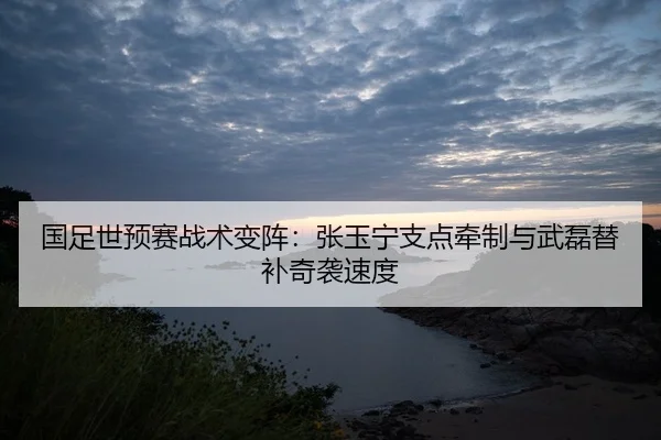 国足世预赛战术变阵：张玉宁支点牵制与武磊替补奇袭速度