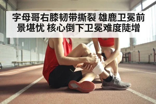 字母哥右膝韧带撕裂 雄鹿卫冕前景堪忧 核心倒下卫冕难度陡增